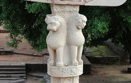 Ashoka Pillar Image