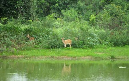 Van Vihar National Park, Bhopal | Ticket Price | Timings | Address ...