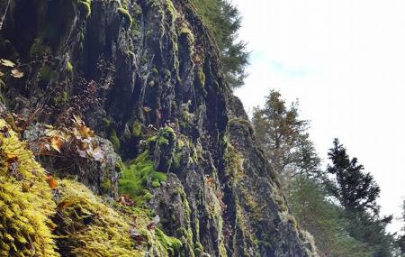 Winner Creek Trail Image