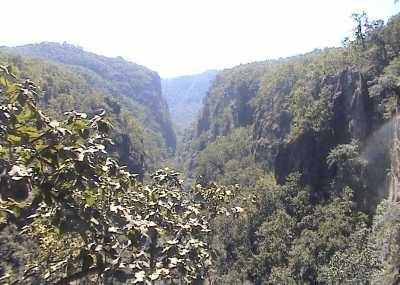Handi Khoh Image