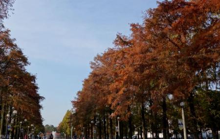 Tsurumiryokuchi Park Image