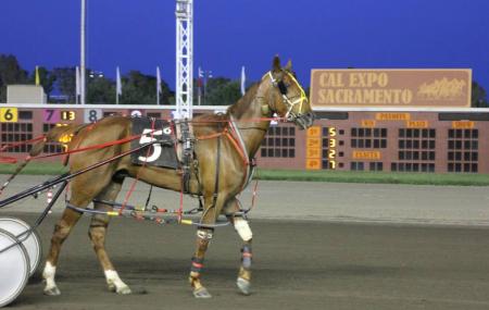 Cal Expo Horse Racing, Sacramento | Ticket Price | Timings | Address: TripHobo