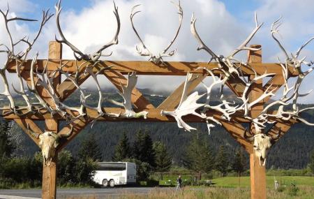 alaska wildlife center conservation anchorage conservat near hotel find