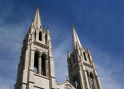 The Cathedral Basilica Of The Immaculate Conception Image