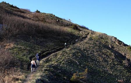 Bird Ridge Trailhead Image