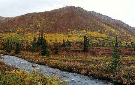 Eagle And Symphony Lakes Image