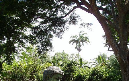 Foster Botanical Garden Honolulu Ticket Price Timings