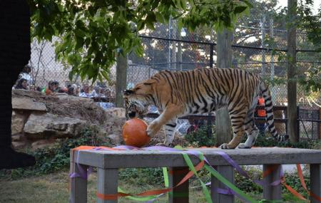 Amarillo Zoo Image