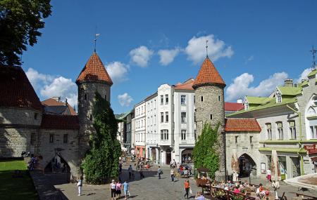 Viru Valjak Image