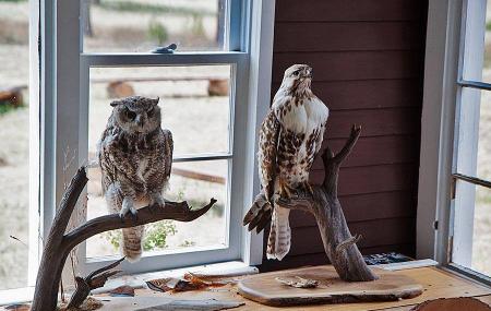 Macgregor Ranch Museum Image