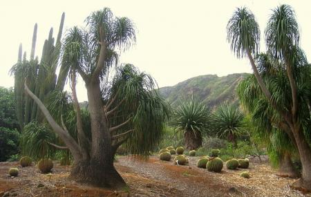 Koko Crater Botanical Garden Honolulu Ticket Price Timings