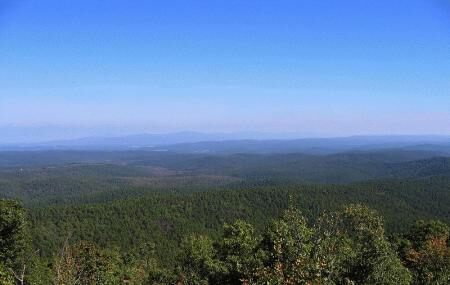 Ouachita National Forest Image