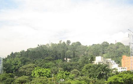 Cerro Nutibara Image
