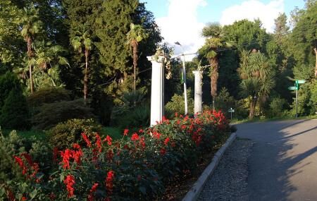Botanical Garden Image