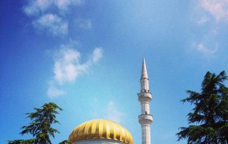 Mosque Batumi Image