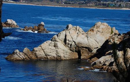 Point Lobos State Reserve And China Cove Gibson Beach Image