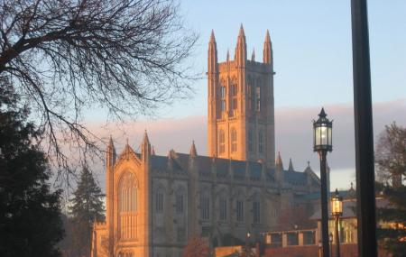 Trinity College Image