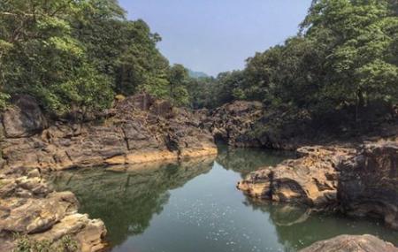 Bhagwan Mahavir Wildlife Sanctuary Image