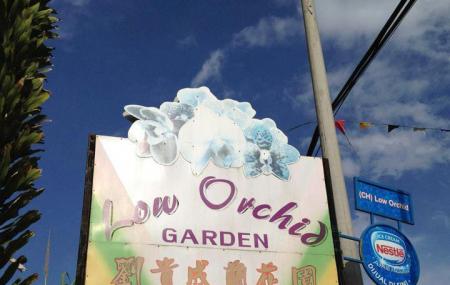 Orchids Farm Image