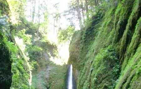 Oneonta Gorge Image