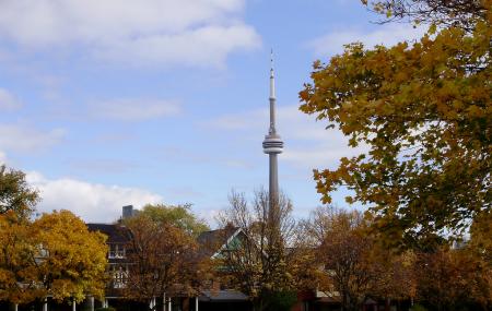 Trinity Bellwoods Park Toronto Ticket Price Timings Address Triphobo