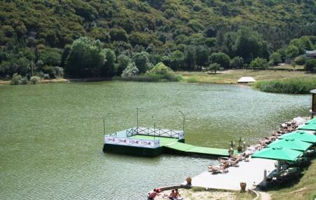 Turtle Lake Image
