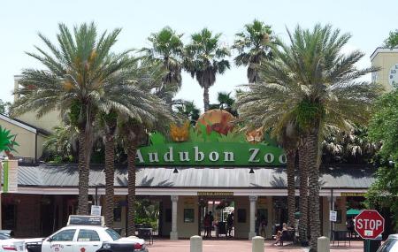 Audubon Zoo, New Orleans | Ticket Price | Timings | Address: TripHobo