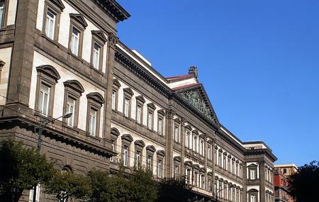 Naples University Image
