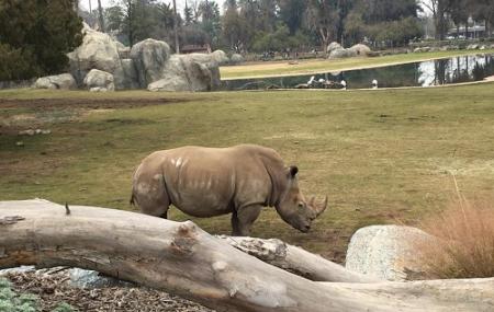 Fresno Chaffee Zoo