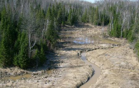 Fort Creek Conservation Area Image