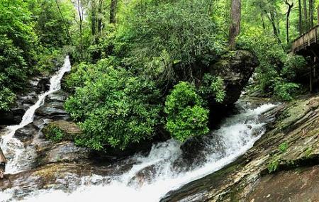 Dukes Creek Falls Trail Image