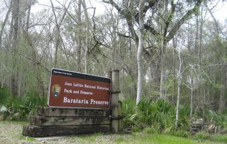 Barataria Preserve Image