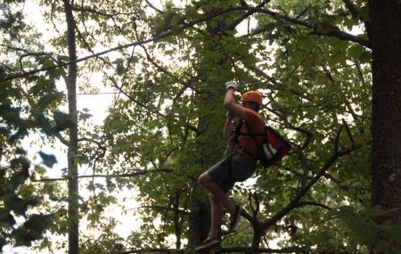 Unicoi Zip Line And Aerial Adventure Park Image