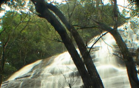 Kiliyur Falls Image