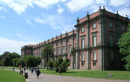 The Capodimonte Museum And Park Image