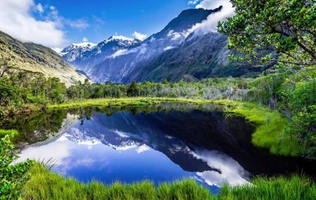 Peters Pool, Franz Josef Glacier | Ticket Price | Timings | Address ...