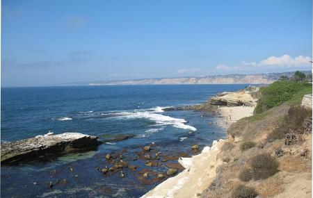 Shell Beach La Jolla Tide Chart