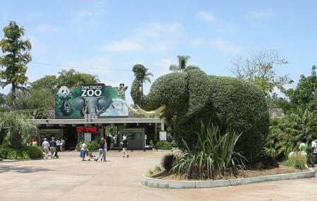 San Diego Zoo Image