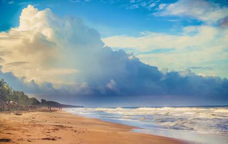Cherai Beach Image