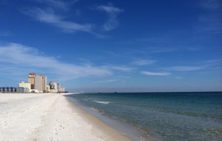 Gulf Shores Public Beach Image