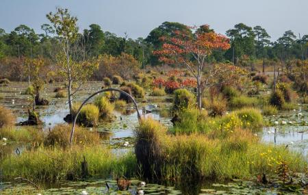 Bon Secour National Wildlife Refuge Image
