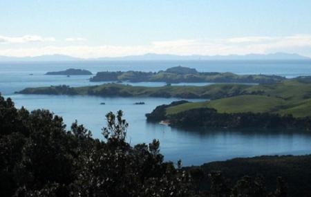 Motutapu Island Image