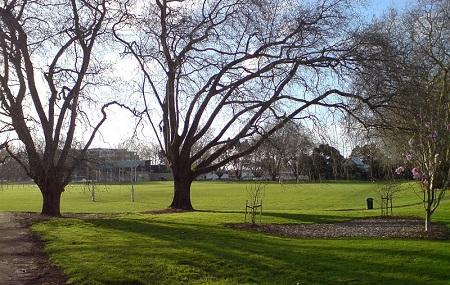 Victoria Park Image