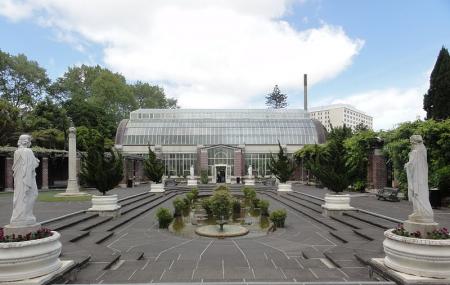 Winter Garden Auckland Domain Image