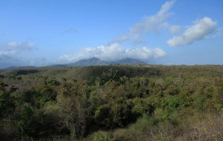 West Bali National Park Image