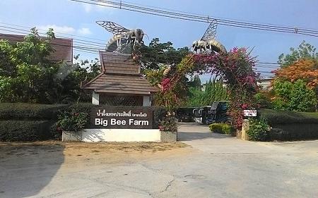 Big Bee Farm Image