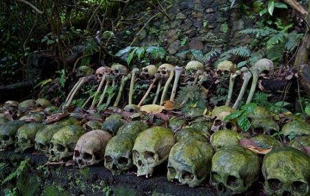 Trunyan Cemetery Image