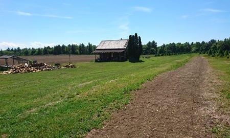 Mockingbird Hill Farm Image
