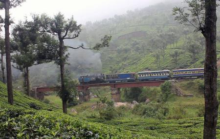Nilgiri Mountain Railway Image