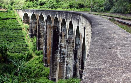 Demodara Nine Arch Bridge Image